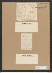 Campylodiscus hodgsonii W. Sm. (de-Toni-Nr.: Genus 57, Species 2432) Zeichnungen Sammlung Grunow Nr. 4898 (NHMW-BOT-W0373095)